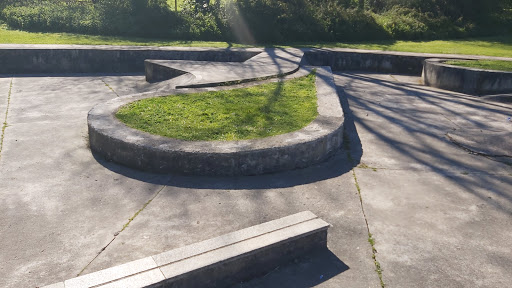 Pista skate La camocha