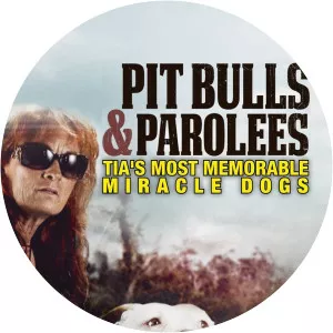 Pit Bulls & Parolees: Tia's Most Memorable: Miracle Dogs