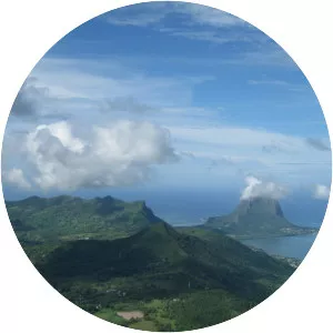 Piton de la Petite Rivière Noire - 