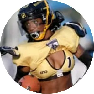 Pittsburgh Rebellion