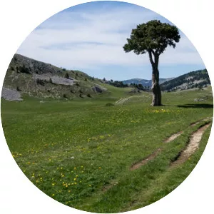 Plaine de la Queyrie - 