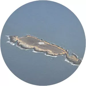 Plane Island - Island in Tunisia