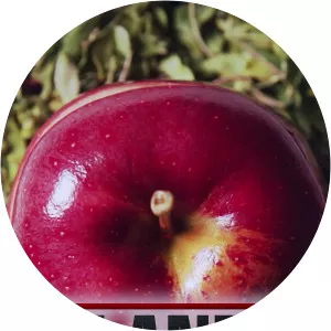 Planet ChefSince 2018