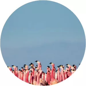 Planet Earth II - British television series