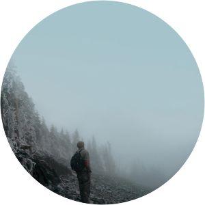 Planet Of The Humans