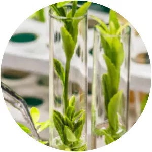 Plant breeding