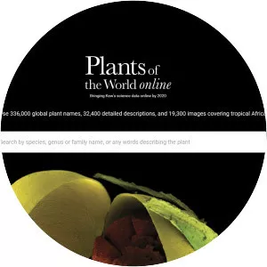 Plants of the World Online - 