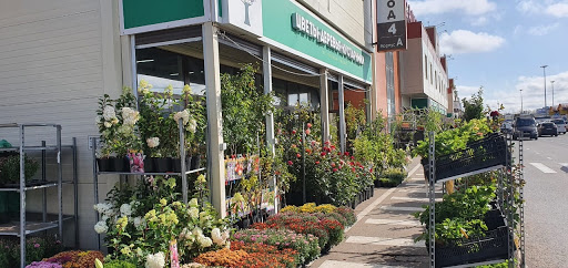 Plantsad - Pitomnik Rasteniy - Plant nursery in Moscow, Russia