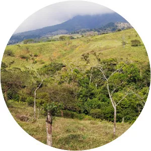 Platanar - Summit in Costa Rica