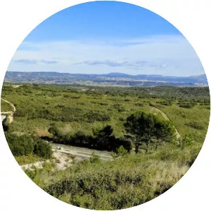 Plateau de l'Arbois - 