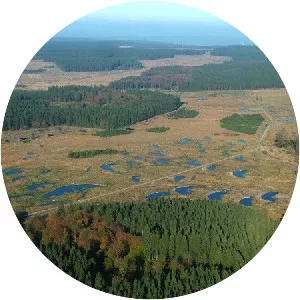 Plateau des Tailles - 