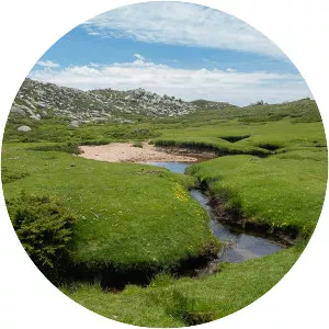 Plateau du Coscione - 