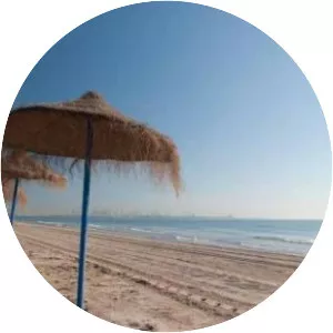 Platja de l'Arbre del Gos