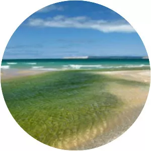 Platte River Point - 