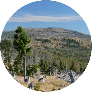 Plattenhausenriegel - Mountain in Germany