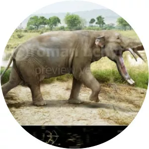 Platybelodon