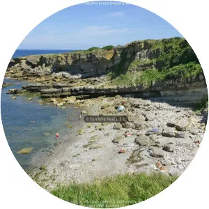 Playa Cristal O Bigaral