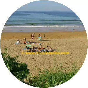 Playa de El Barrigón