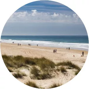 Playa de la Barrosa - 