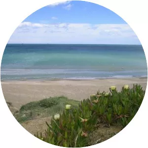 Playa de la Devesa del Saler - 