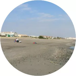 Playa de la Marina de la Torre