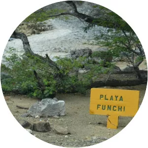Playa Funchi - 