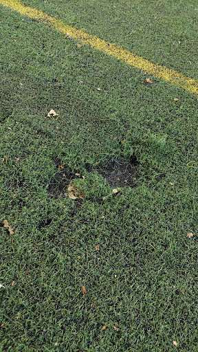 PlayArena Porto - Soccer field in Porto, Portugal