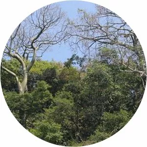 playita del guasmo bosque protector cerro paraíso