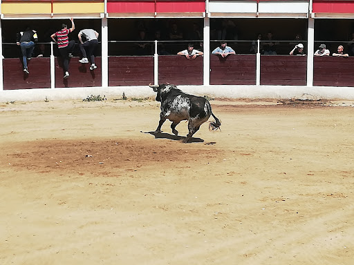 Plaza de Toros de Anchuelo - Bullring in Anchuelo, Spain