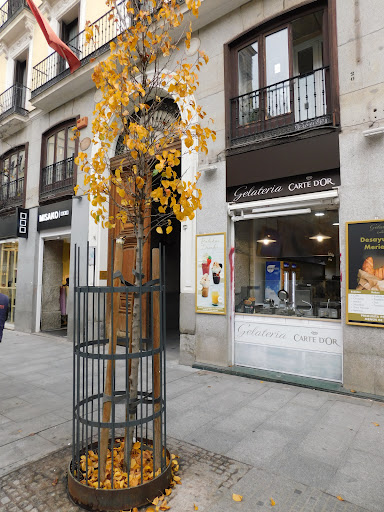 Plaza San Miguel - Restaurant