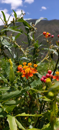 Plaza Santa Isabel - Park in the Tintay District, Peru