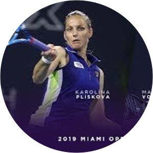 Pliskova / Vondrousova photograph