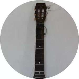 Plucked string instrument photograph