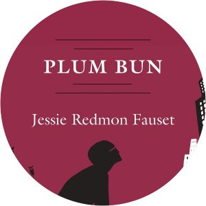 Plum Bun - Novel by Jessie Redmon Fauset