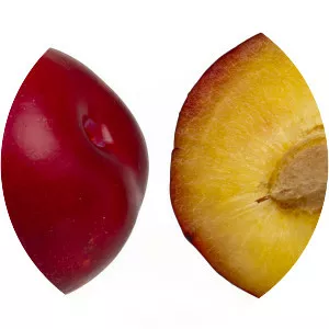 Plums - Plants