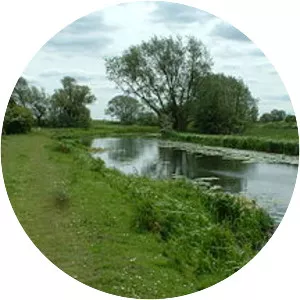 Pocklington Canal - 