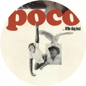 Poco. . . Little Dog Lost