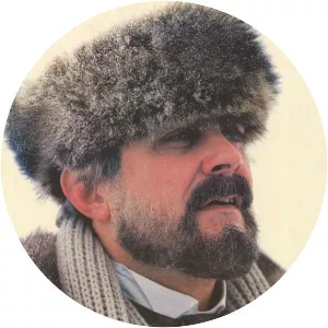 Pod severnym siyaniyem