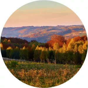 pogórze strzyżowskie