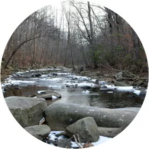 Pohick Creek - Tributary in Virginia