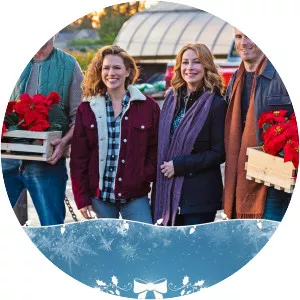 Poinsettias for Christmas