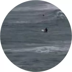 Pointe de la Torche - Promontory in France