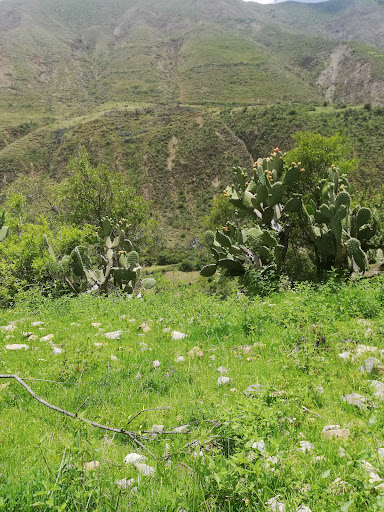 Pokuto hacienda de nicasio chaico - Hiking area in the Huamanquiquia District, Peru