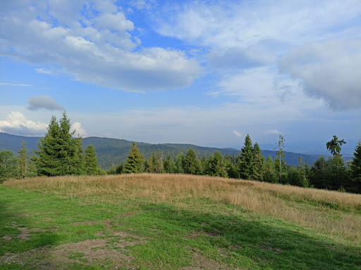 Polana Bukowina Obidowska - Scenic spot in Poland