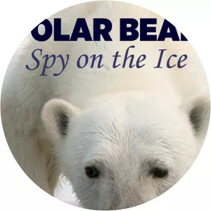 Polar Bear: Spy on the Ice