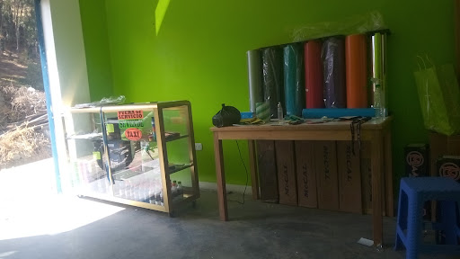 Polarizados raulito - 