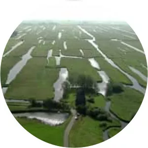 Polder