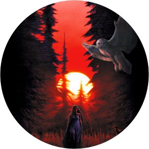 Polgara the Sorceress