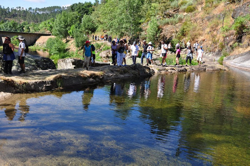 Polidesportivo de Canedo - Athletic field in Portugal