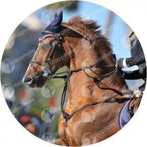 Polina Prigozhina - Yevgeny Prigozhin's daughter